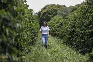 Suelo de calidad, teledetección y cubierta vegetal: el futuro de la agricultura sostenible - Mundo - ABC Color