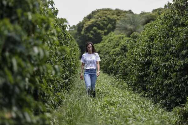 Suelo de calidad, teledetección y cubierta vegetal: el futuro de la agricultura sostenible - Mundo - ABC Color