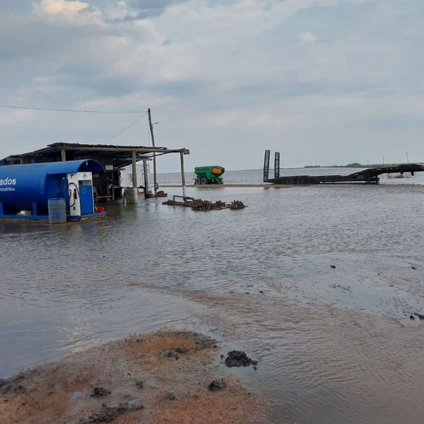 Drama de los arroceros: un problema social y económico grave que requiere atención de las autoridades - La Tribuna