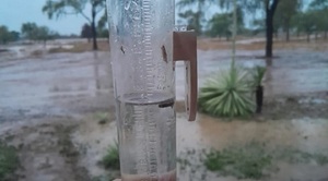 ¡Por fin llueve en el Chaco! Precipitaciones alivian a comunidades afectadas por la sequía
