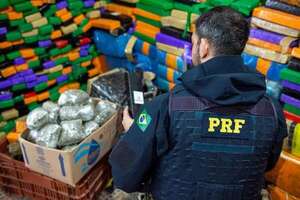 Reportan récord en incautaciones de marihuana en frontera con Paraguay - ABC en el Este - ABC Color