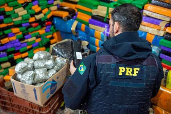 Reportan récord en incautaciones de marihuana en frontera con Paraguay - ABC en el Este - ABC Color