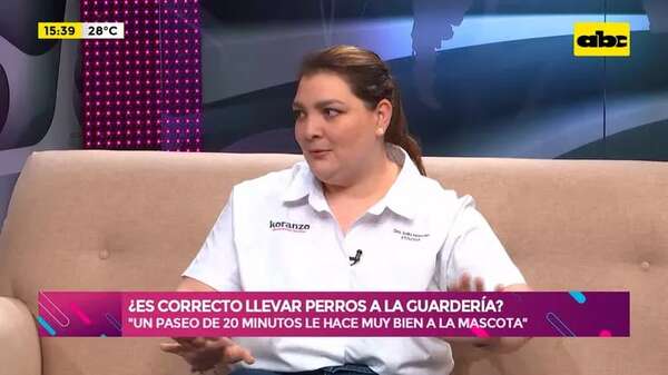 Video: llevar perros a la guardería, ¿Está bien? - Ensiestados - ABC Color