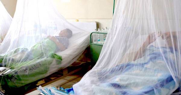 La Nación / Más de 350 muertes por dengue en un mes