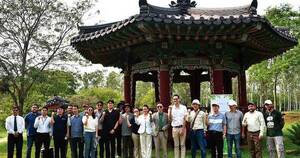 La Nación / Embajada de Corea en el país apoya reforestación