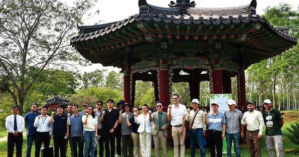 La Nación / Embajada de Corea en el país apoya reforestación