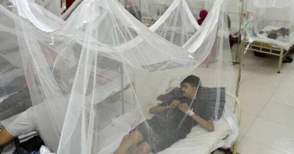 La Nación / Burkina Faso: 350 muertes por dengue en un mes
