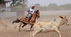 La Nación / Jurados internacionales apreciaron evolución de caballos criollos