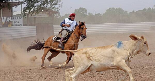 La Nación / Jurados internacionales apreciaron evolución de caballos criollos