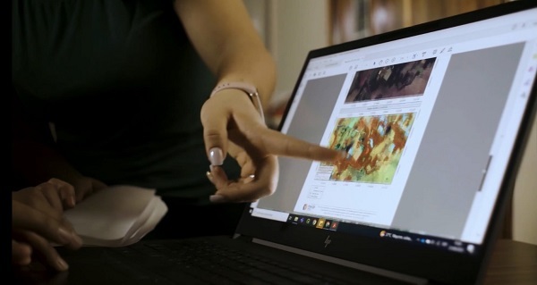 INFONA lanza sistema de alertas para combatir deforestación ilegal