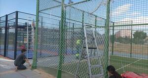 La Nación / España: canchas de pádel son un peligro para los pájaros, dicen ecologistas