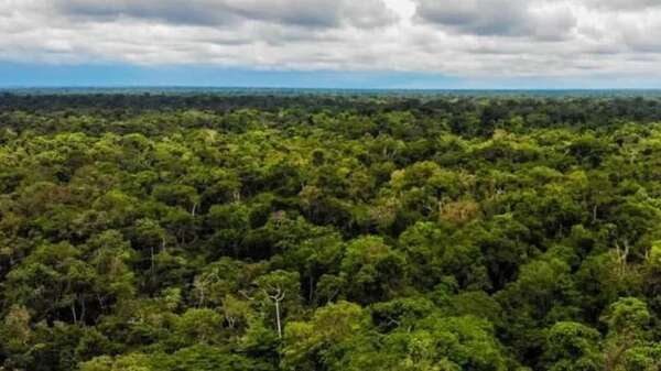 Perú entrega más de un millón de dólares a comunidades nativas para conservar sus bosques - Mundo - ABC Color