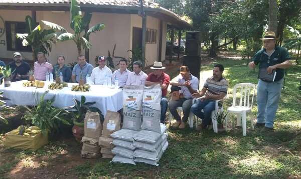 Productores reciben semillas de autoconsumo para reponer parcelas afectadas por granizada - Nacionales - ABC Color