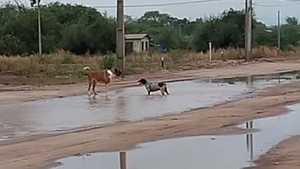 Tras meses de sequía, la alegría y esperanza vuelven al Chaco con las lluvias
