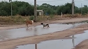 La lluvia regresa al Chaco luego de meses de sequía | 1000 Noticias