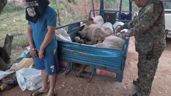 Con la carne hasta el cuello: Joven es detenido con toritos y carne sin documentación
