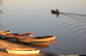 Más de 4.400 pescadores recibirán subsidio por veda pesquera - ADN Digital