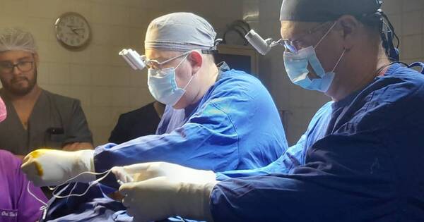 La Nación / Realizan con éxito la primera cirugía de plexo braquial en hospital público de CDE