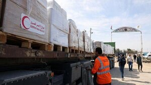 ONU anuncia que un total de 248 camiones con ayuda llegaron a la Franja de Gaza