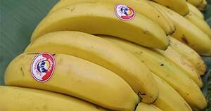 La Nación / Chilenos, interesados en banana paraguaya