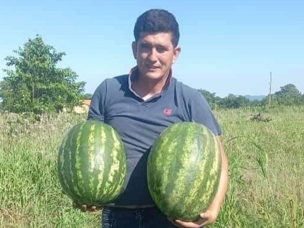 Producción de sandía en Paraguarí comenzó mediante un prisionero boliviano - La Tribuna