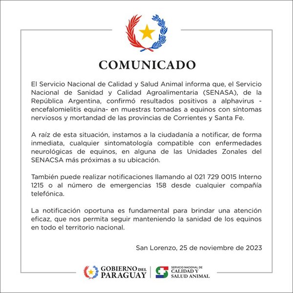 Paraguay en alerta ante casos positivos de encefalomielitis equina en provincias de la Argentina