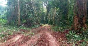 INFONA IMPLEMENTA SISTEMA DE ALERTA TEMPRANA PARA DETECTAR DEFORESTACIÓN ILEGAL - Itapúa Noticias