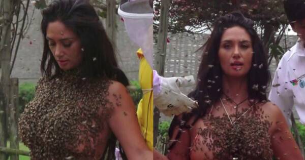 Se desnudó para “vestirse” con abeja: ¡terminó pagando las consecuencias!