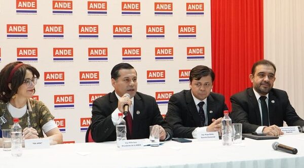 ANDE lanza promo de fin de año con financiamiento de deudas y otros beneficios