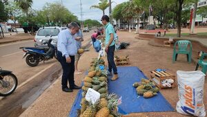 Feria de piña en Concepción