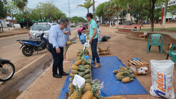 Feria de piña en Concepción