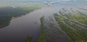 Brasil lanza programa para fomentar exportaciones de productos sustentables de la Amazon铆a - Revista PLUS