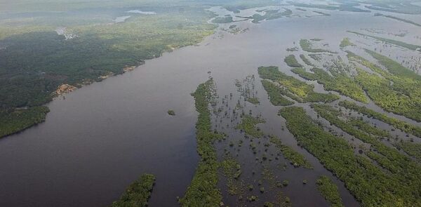 Brasil lanza programa para fomentar exportaciones de productos sustentables de la Amazon铆a - Revista PLUS