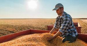 La Nación / USDA actualiza al alza su perspectiva para la producción mundial de maíz