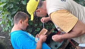 Intensifican trabajos de eliminación de criaderos del Aedes Aegypti en Alberdi