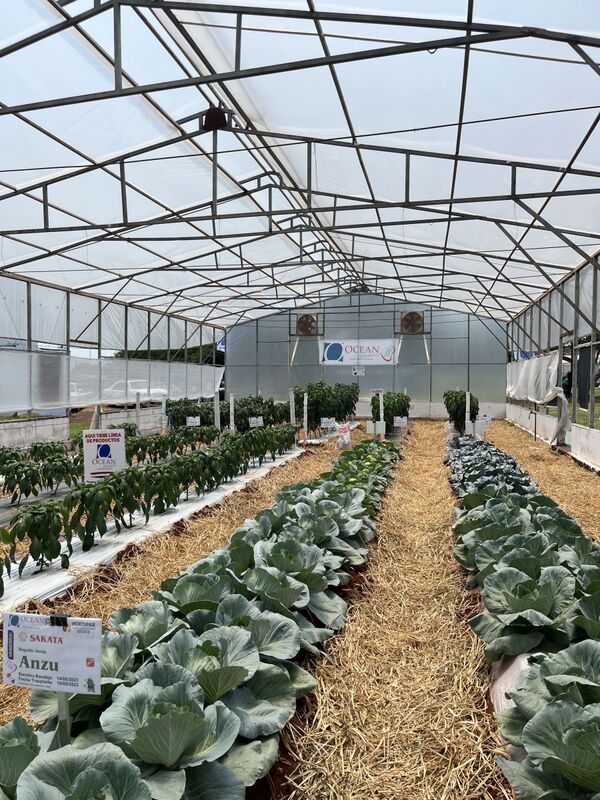 Ocean Quality destacó innovación y tecnología en invernaderos desafíos durante Hortipar 2023