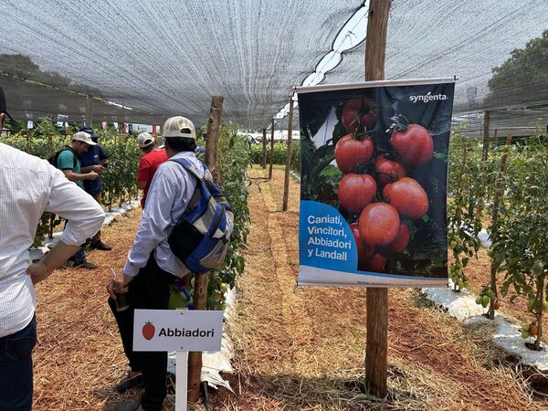 SYNGENTA expuso sus novedades en la quinta edición de Hortipar