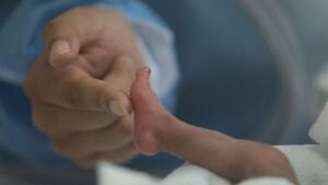 IPS amplía y fortalece terapia para neonatos