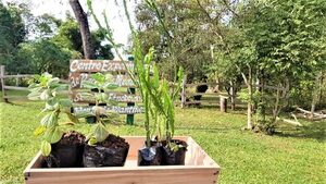 An educative project to promote waste treatment will be launched - .::Agencia IP::.
