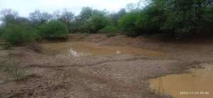 La lluvia no fue suficiente para sequía de ocho meses en el Chaco  - Nacionales - ABC Color