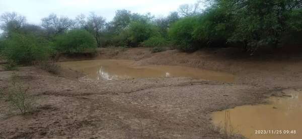La lluvia no fue suficiente para sequía de ocho meses en el Chaco - Nacionales - ABC Color