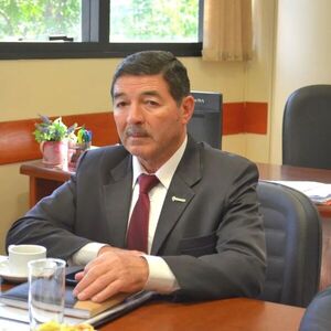 Senador cartista afirma que la “inseguridad está arrasando en el Paraguay” - El Trueno