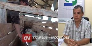 COMIENZAN LAS CAPACITACIONES PARA LAS VACUNACIONES CONTRA LA FIEBRE AFTOSA EN 2024 - Itapúa Noticias