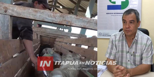 COMIENZAN LAS CAPACITACIONES PARA LAS VACUNACIONES CONTRA LA FIEBRE AFTOSA EN 2024 - Itapúa Noticias