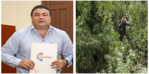 Más de 500 jóvenes trabajan en cultivos ilegales en Yby Yaú debido a la falta de oportunidades, según el intendente de Yby Yaú