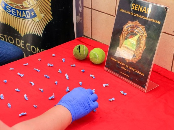 Senad desmanteló aguantadero con peculiar forma de distribuir drogas - La Tribuna