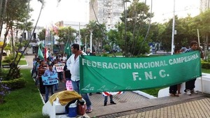  Federación Nacional Campesina anunció tres días de protestas por asistencia estatal y provisión de tierras