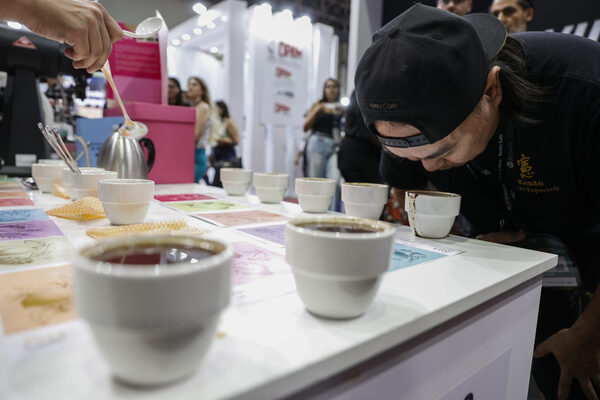 Brasil busca nuevos mercados para sus cafés especiales ante la caída de las exportaciones - MarketData