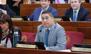 Nakayama renuncia al PLRA tras "hartarse" de los legisladores "liberocartistas" - Megacadena - Diario Digital