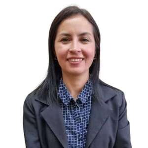 Intención de ANDE de adjudicar la LT 500 kV Yguazú - Valenzuela genera queja - Economía - ABC Color